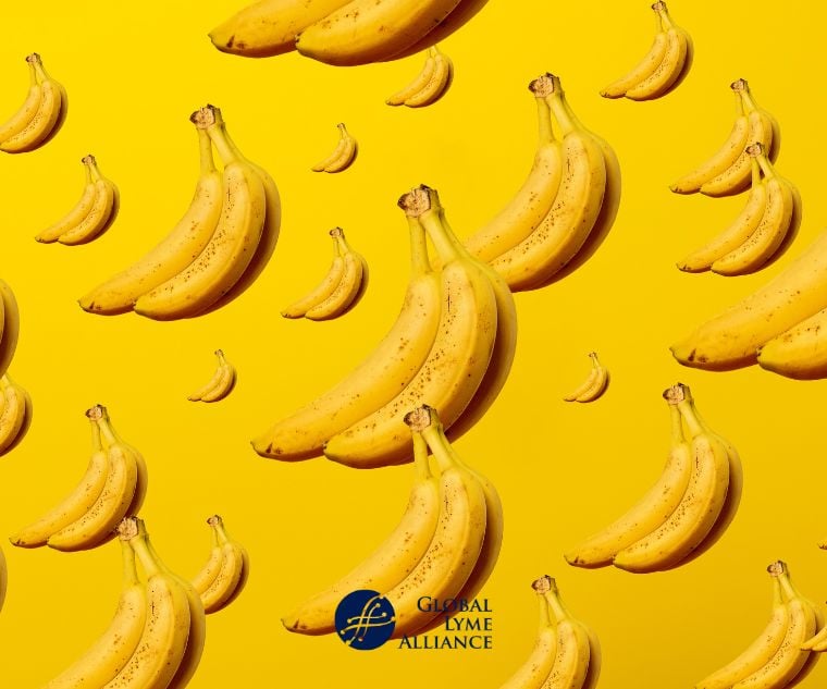 The Power of Bananas in Combating Lyme Disease Symptoms